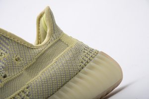 Yeezy 350 Boost V2 Antlia - Image 8