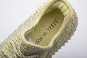 Yeezy 350 Boost V2 Antlia - Image 9