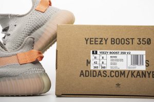 Yeezy  350 Boost V2 True Form - Image 6