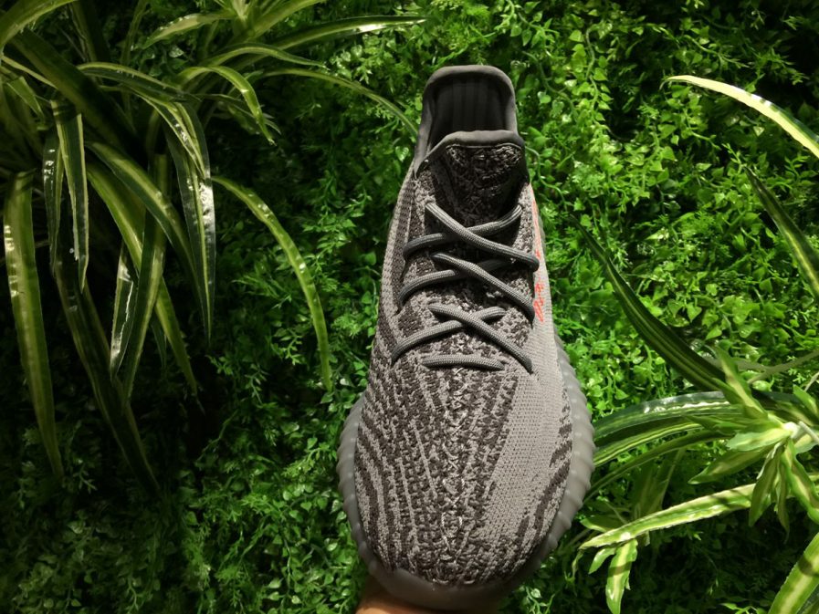 Yeezy Boost 350 V2 Beluga 2.0 - Image 8