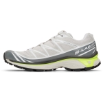 Salomon Taupe and Grey XT6 Advanced Sneakers