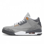 Air Jordan 3 Retro Cool Grey 2021