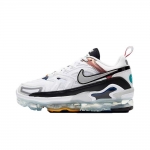 Air VaporMax EVO 'Evolution of Icon'