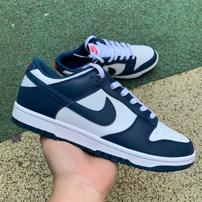Nike Dunk Low Valerian Blue photo review