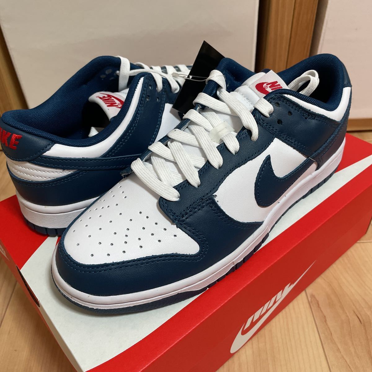 Nike Dunk Low Valerian Blue photo review