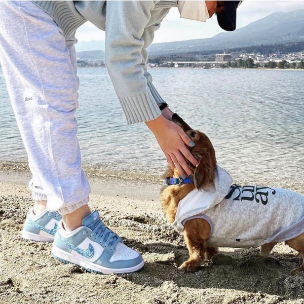 278955466_353254660185892_3889261469026149933_n