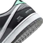 Nike SB Dunk Low VX1000 Camcorder - Image 8