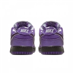 Nike Concepts x Dunk Low SB Purple Lobster - Image 4